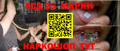 винт Новозыбков